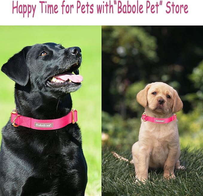Nylon Dog Collar - Adjustable Rose Red Soft Webbing Dog Collars for Small Medium Large Dogs Boy Girl Puppy Collar with Safety Metal Buckle M