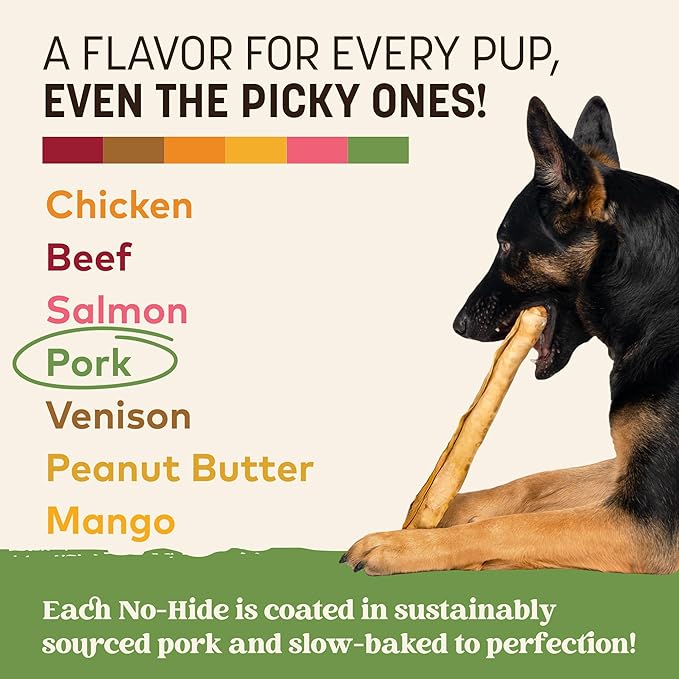 Earth Animal No Hide Chews - Long Lasting Rawhide Free Large Dog Chews Rolls, Pork - 3 Count Value Pack