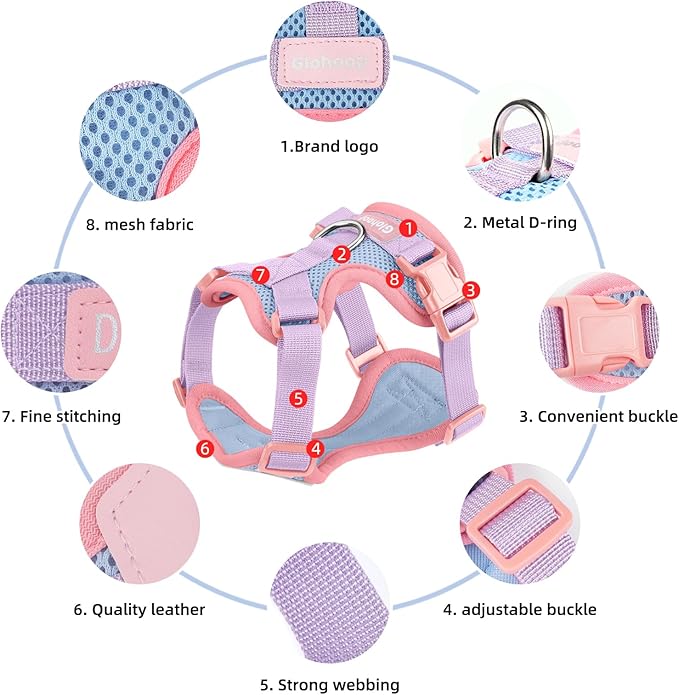 Small Dog Harness and Leash Set, Breathable Mesh Puppy Harness, Adjustable Dog Harness for Small Medium Large Dogs, No-Pull Pet Harness for Daily Walking (Blue, X-Large)