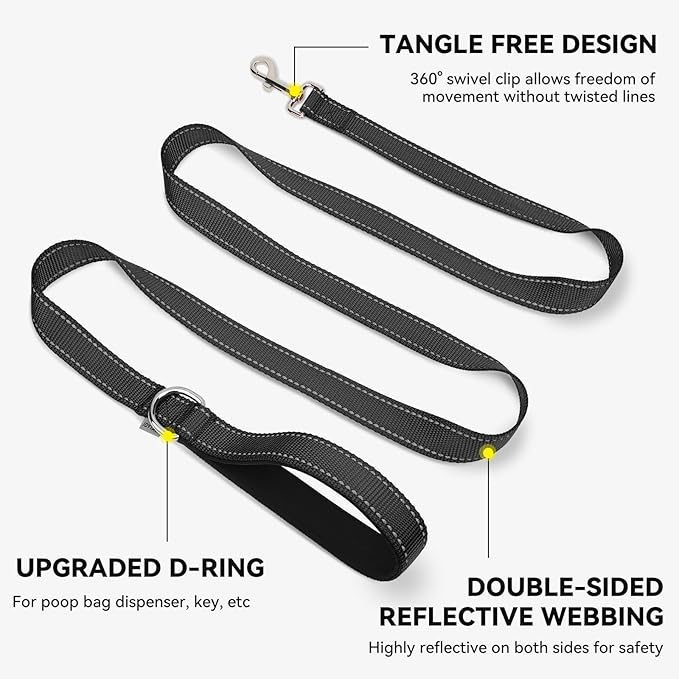 Joytale Dog Leash, 4 FT Double-Sided Reflective, Padded Handle Nylon Heavy Duty Leashes for Small Dogs Walking, Black