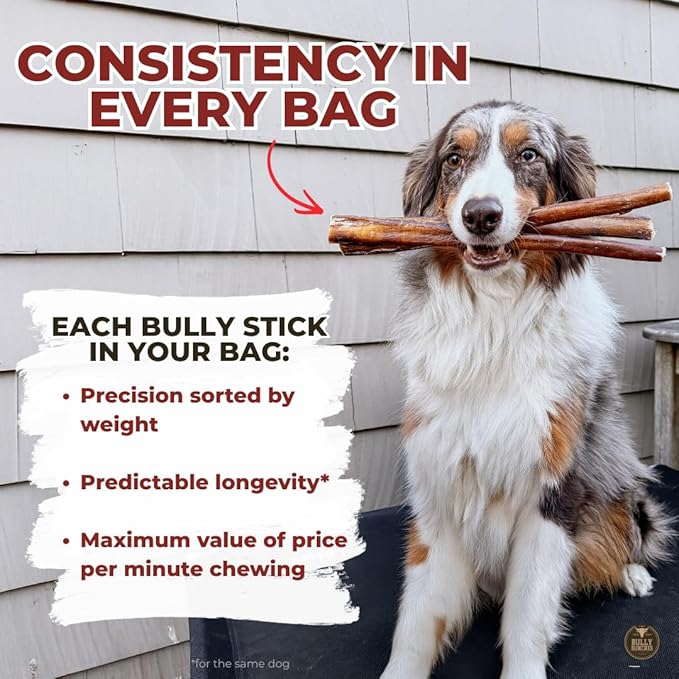 Bully Bunches Premium 6 Inch Thick Odor-Free Bully Sticks for Small & Medium Dogs - Consistently Sized, Long Lasting Chews for Oral Care- All Natural & Single Ingredient, 100% Beef Dog Treat (20 Pk)