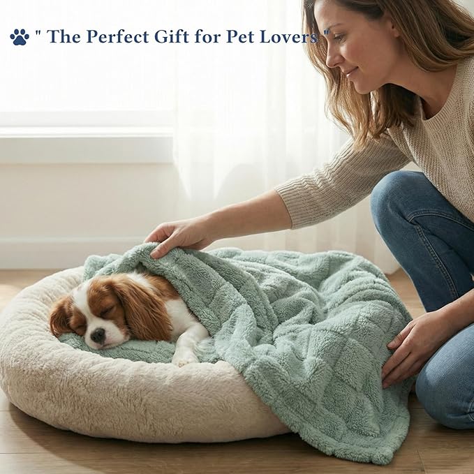 David's Home Large Dog Blankets Washable Pet Bed Cover, Soft Fluffy Fuzzy Cat Puppy Blanket with Premium 300GSM Fleece for Pet Kitten Doggy, Aqua Gray, 50x60IN