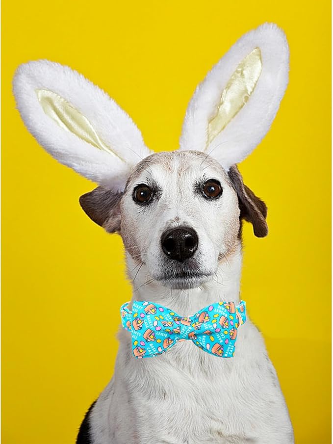 Lionheart Glory Easter Dog Collar - Small Dog Bow Collar with Colorful Bows for Spring
