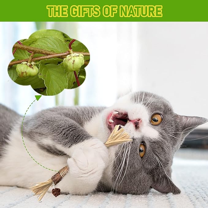 BAWAN Catnip Toys‖ Silvervine for Cats: Cute Cat & Kitten Toys for Indoor Cats Interactive‖ Cat & Kitten Teething Chew Toys for Aggressive Chewers‖ Silvervine Sticks Cat Dental Toy (1PCS)