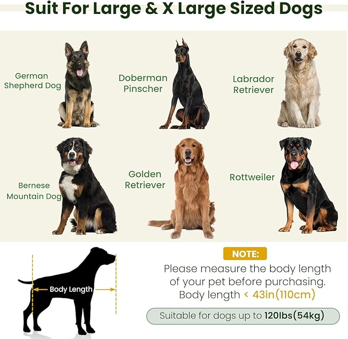 Elevated XL Large Dog Sofa with Backrest and Armrests, 55" Button Tufted Dog Couch Bed with Soft Cushion for Large Dogs, Stylish Lounging Bed Pet Couch Chair, 120Lbs Weight Capacity, Olive Green