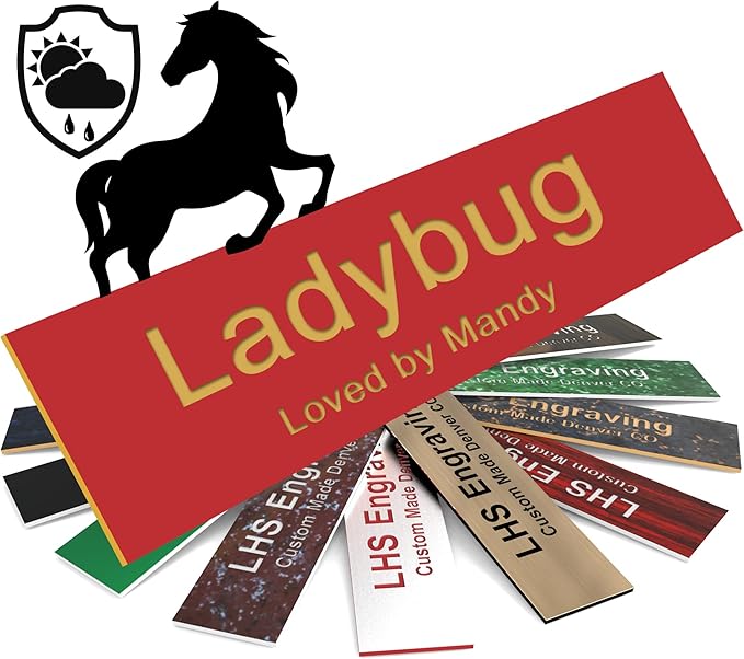 Personalized Horse Stall Name Plates, 2x6 Horse Stall Signs with Adhesive, All Weather UV Protected, Red Plastic Gold Letters - Made in USA - B17