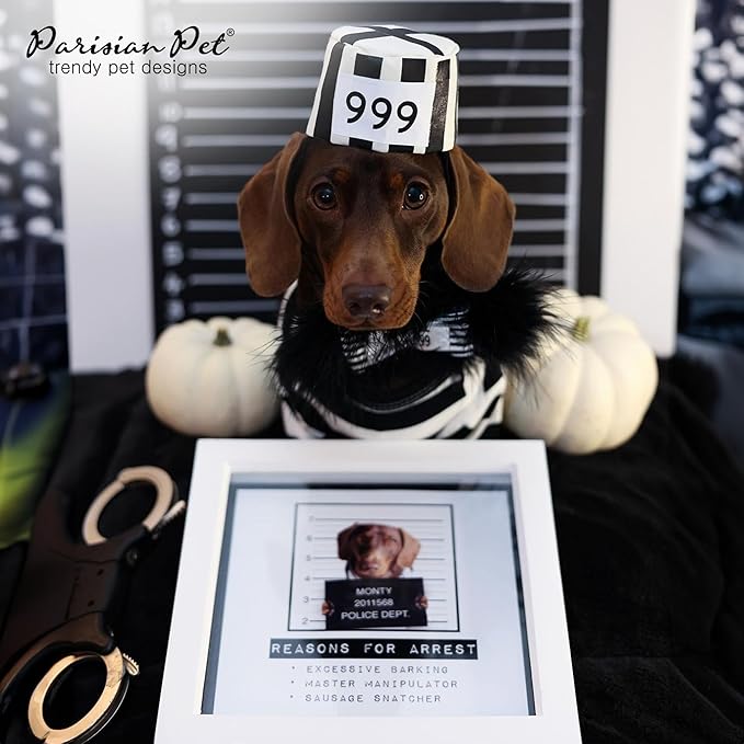 Parisian Pet Dog Shirt - Prisoner Costume - Black and White Striped Cotton Clothes - Lightweight Polyester Sleeved Outfit for Large Dogs - 4XL