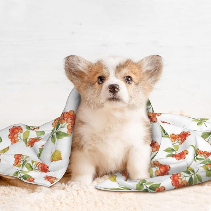 Dog and Cat Blanket in One, Flower Berries Autumn Orange Art Pattern, Double Sided Plush Throw with Raised Dot Pattern on One Side and Flat Velvet on Other for Variety