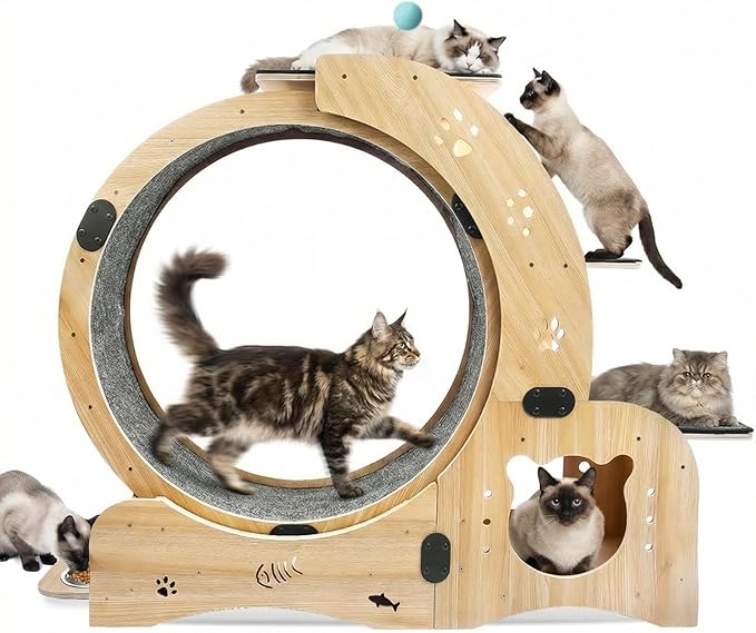 6-in-1 Cat Exercise Wheel - Quiet Wood Cat Treadmill with Cat House, Tree & Feeding Bowls - Sturdy Indoor Cat Activity Center for Running & Play - Large Cat Furniture with Scratching Pad