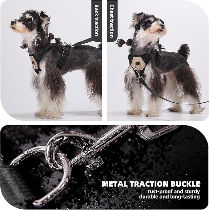 Small Dog Harness and Leash Set, Breathable Mesh Puppy Harness, Adjustable Dog Harness for Small Medium Large Dogs, No-Pull Pet Harness for Daily Walking (Black, X-Large)