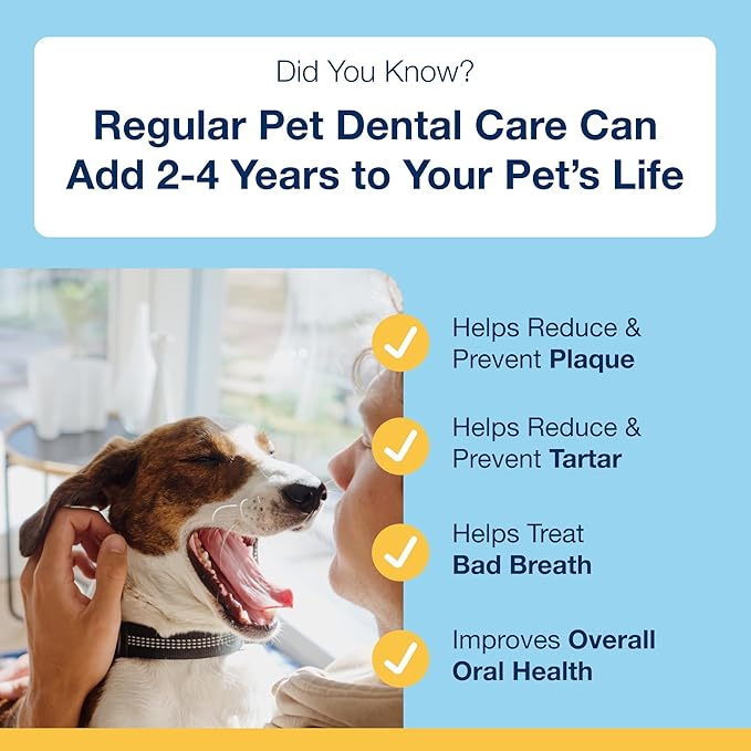 Proden PlaqueOff Sytem Mini Dental Care Bones - Peanut Butter Banana - 12 oz, Brown