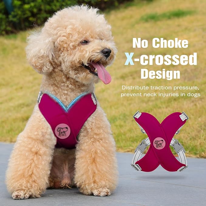 Pawaboo Small Dog Harness and Leash Set, Puppy Harness X-Frame No Pull No Choke, Dog Vest Harness Adjustable for Small Medium Sized Dogs, Soft Breathable Pet Harness for Walking Outing, M, Magenta