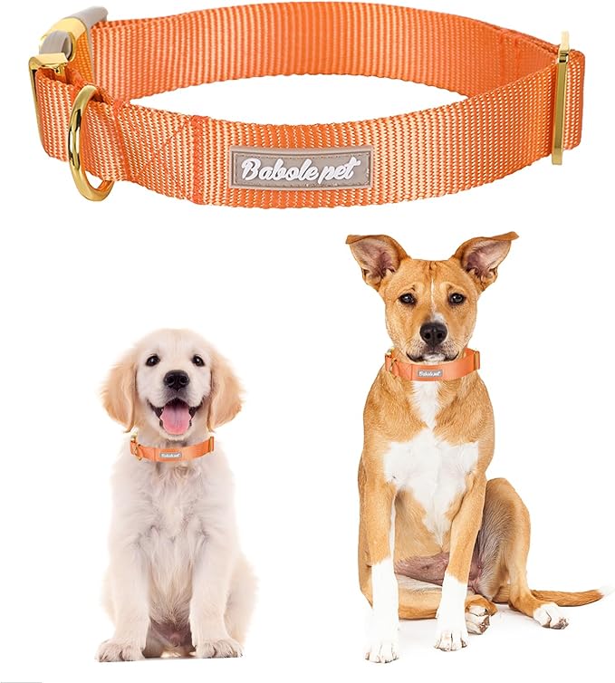 Nylon Dog Collar - Adjustable Orange Soft Webbing Dog Collars for Small Medium Large Dogs Boy Girl Puppy Collar with Safety Metal Buckle S