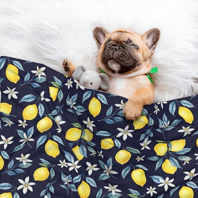 Two Sided Pet Cuddler Blanket for Anxiety Calming, Citrus Fruit Flower Lemon Green, Reversible Plush Design with Bubble Dot Pattern Provides Familiar Surface Anywhere
