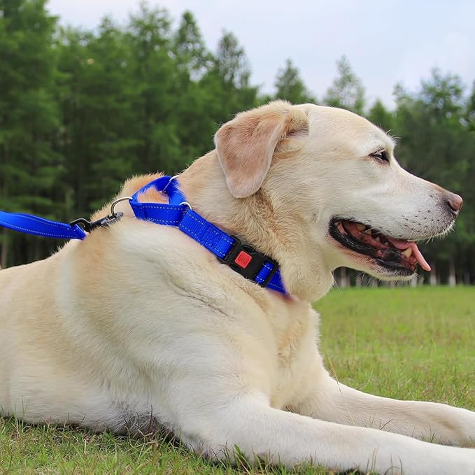 Joytale Martingale Collar for Dogs, Reflective Heavy Duty for Safety, Quick Release Buckle, Adjustable Nylon Collars for Large Dogs Walking Training, Navy Blue,L