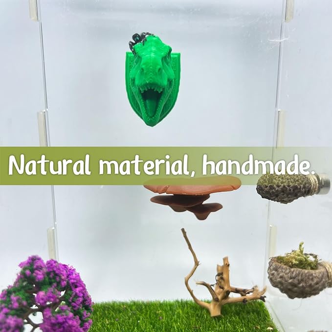 Jumping Spider Hide,3D Printed Dinosaur Head - A Fun Habitat for Jumping Spiders, Small Reptiles, and Small Pets, Suitable for Home Decor with Animal Enclosures (Green)