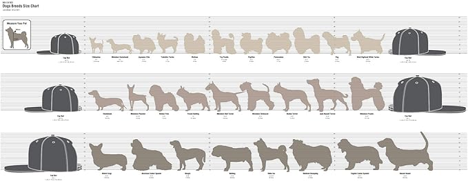 NAP CAP NBA Pets NAP CAP Pet Bed