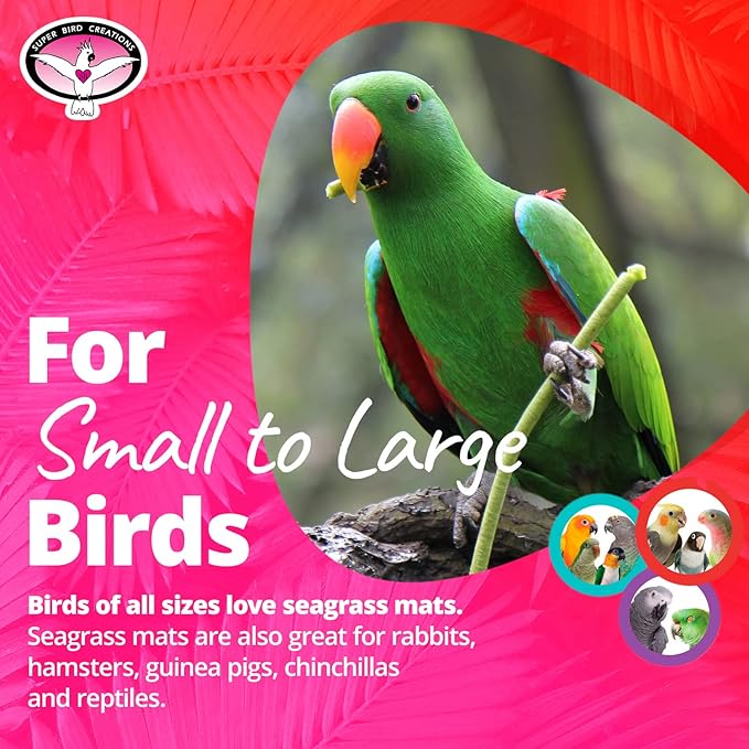 Super Bird Creations SB50002 Seagrass Mat for Cage Decor, Pet Enrichment and Boredom Relief - Versatile Toy-Making Base - Ideal for Parrots - Small to Large Birds & Reptiles - 7"x7" (3 Pack)