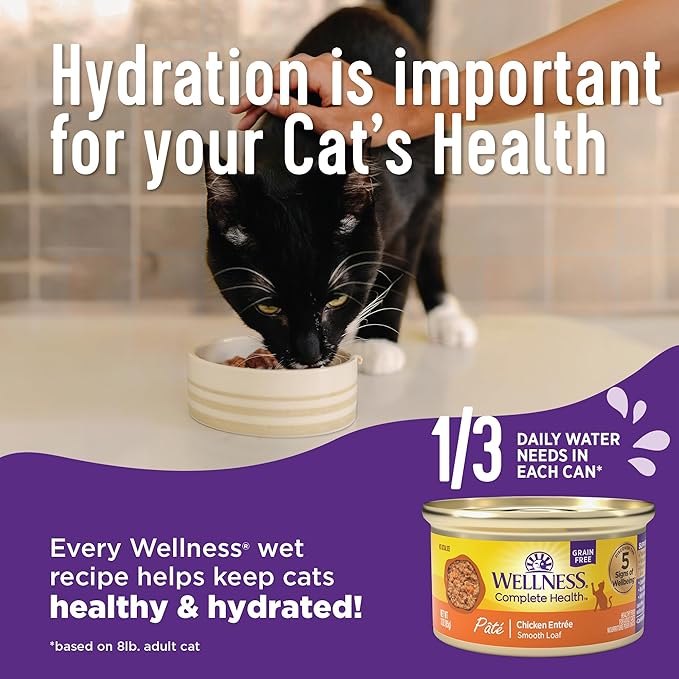 Wellness Complete Health Cubed Adult Wet Cat Food, Natural, Protein-Rich, Grain Free, 3 Ounce, 24 Pack, (Tuna Entrée)