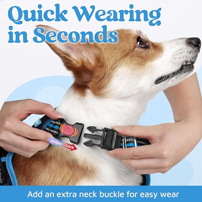 rabbitgoo Dog Harness Small Sized, No Pull Dog Vest with 3 Buckles, Adjustable Soft Padded Pet Harness with Easy Control Handle and Reflective Strips, Black & Sky Blue, S