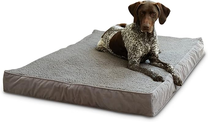 Happy Hounds Oscar Rectangle Orthopedic Foam Sherpa Dog Bed, Large (48 x 36 in.), Pewter