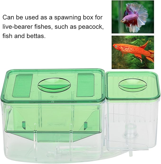 Breeder Box for Fish Tank, Breeding Transparent Aquarium Little Hatching Tanks Double Layer Isolation Hatchery Incubator Injured Small Shrimp Nursery Tank Divider Safe Separation