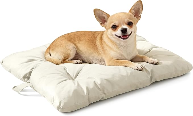 Chew Resistant Dog Bed for Small Dogs - Durable 23"x17" Kennel Pad with Soft Plush Filling, Machine Washable Crate Mat for Aggressive Chewers, Indoor Outdoor Pet Bed, Beige