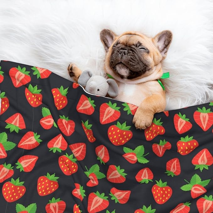 Pet Blanket for Travel and Home, Cute Red Strawberry Pattern Black, Reversible Plush Dot Design with Soft Grip Texture on One Side Perfect for Car Seats Moving Vehicles