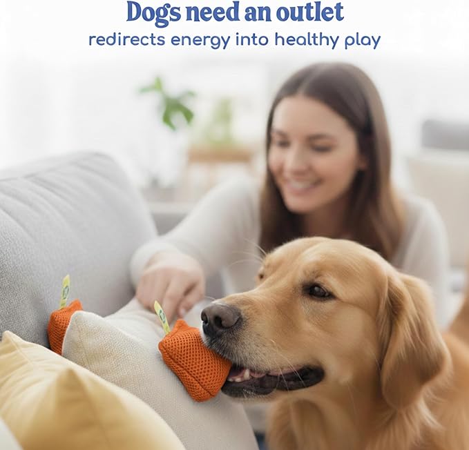 Race&Herd Original Dog Scent Training Kit, Scent Work Training Kit for Dogs - Nosework for Dog Mental Stimulation Agility Training Equipment for Dogs, Brain Games Smell Training Kit for Loss of Smell