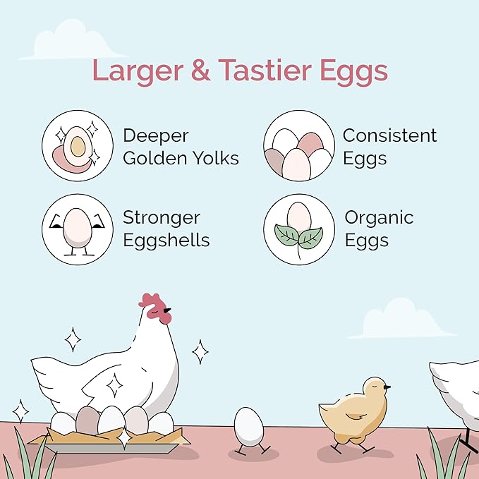Organic Chicken Feed – Layer Whole Grain, Non-GMO, USA Grown, 16% Protein, Corn-Free, Soy-Free, Non-Medicated Feed for Chickens, 2 lb Sample