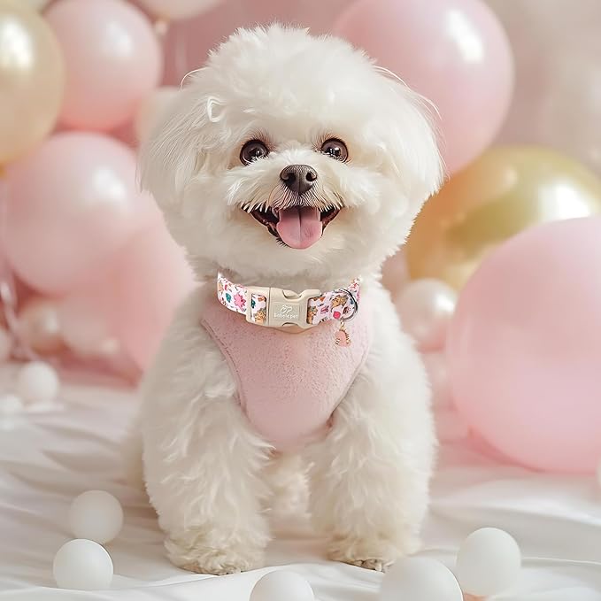 Cute Dinosaur Dog Collar, Adjustable Pink Dino Dog Collars for Medium Dogs, Lightweight Quick-Release Buckle Birthday Collar for Boy&Girl Dogs M