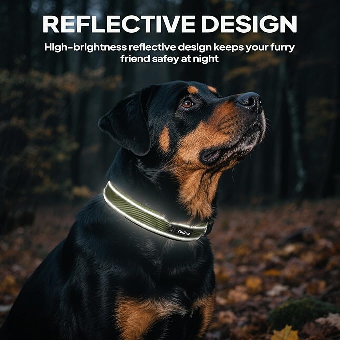 PetiFine Dog Collar for Large Dogs, Neoprene Padded and Adjustable, Reflective Wide Heavy Duty Pet Collars with Durable Metal Belt Buckle for Walking, Green, XL