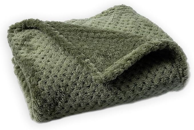 Pet Blanket Warm Soft Dog Blankets Washable Cat Throw Blankets Sofa Bed Couch Furniture Protector Cover for Small Medium Large Dogs Cats, Green, 16" x 24"