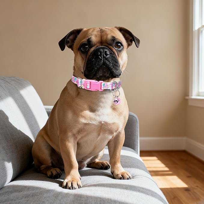 XS Dog Collar with Bell - Durable Nylon Collar for Small Breeds, Adjustable Flower Pattern Collar for Chihuahua Pomeranian Yorkie, Heavy-Duty for Active Puppies（XS）