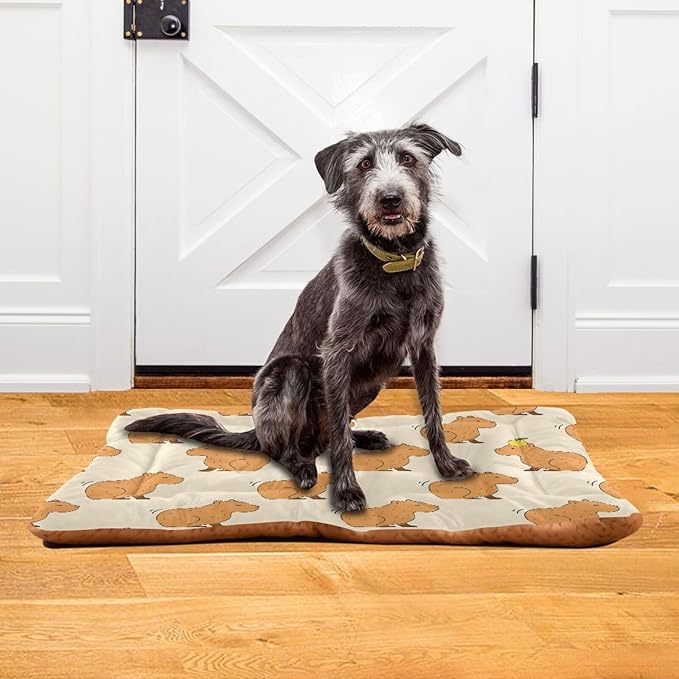 Cute Capybara Pet Bed Cute Dog Bed Mat Absorbing Non Slip Pad Pet Sleeping Mat for Small, Medium, and Large Dogs Puppy Cat 24 in x 18 in