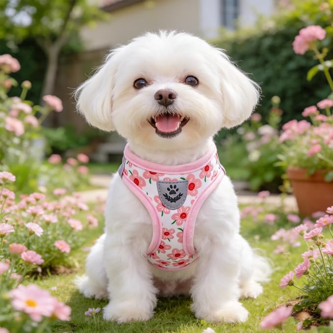 SCENEREAL Small Dog Harness and Leash Collar Set, Step in Soft Light Puppy Vest, Breathable Pet Harness for Small Sized Dogs, No Chock Reflective for Safe Outdoor Walking, Pink Flower M