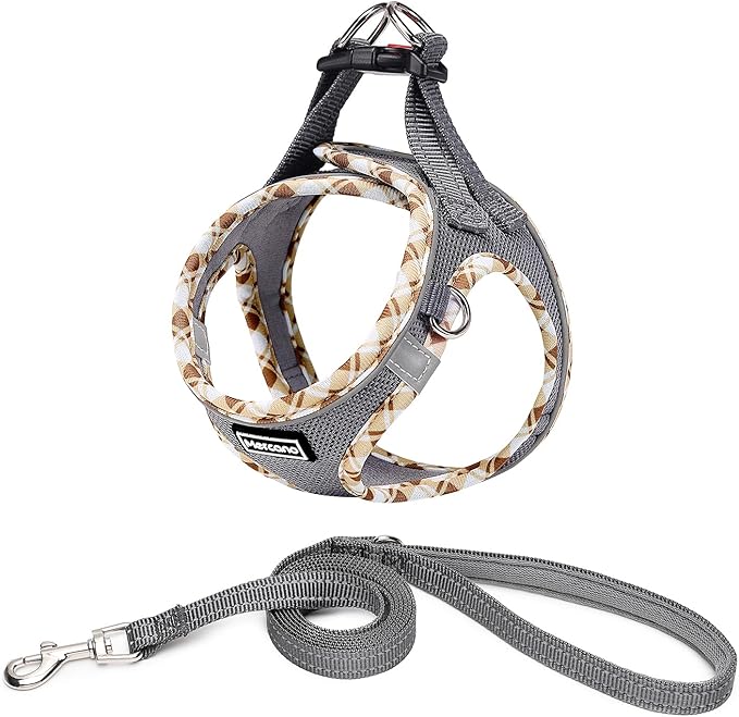 Mercano Soft Mesh Dog Harness and Leash Set, No-Chock Step-in Reflective Breathable Lightweight Easy Walk Vest Harnesses with Safety Buckle for Small Dogs, Cats (Grey, XXS)