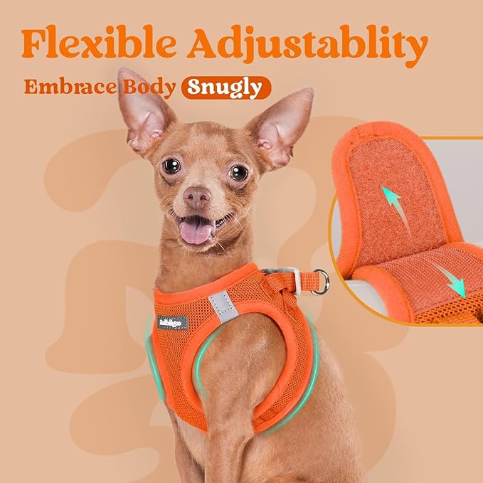 rabbitgoo Small Dog Harness, Step-in Soft Mesh Puppy Vest with Safety Buckle, Breathable Reflective Pet Harness for Small Medium Dogs, Orange XL