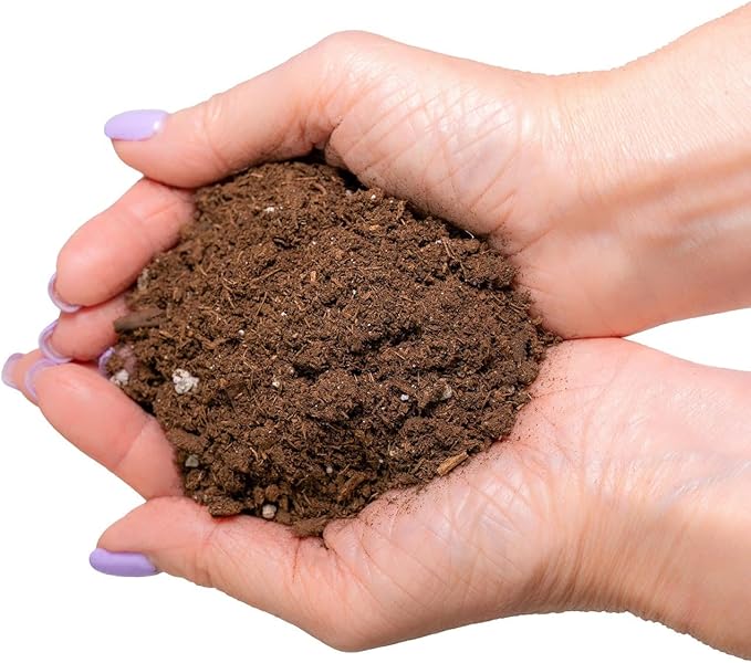 GARDENERA Money Tree Potting Soil - 10 Quart - Soil Mix for Planting or Repotting Guiana Chestnut, Blended Mix to Properly Grow Money Tree Plants (4 Bags of 5 Quart)