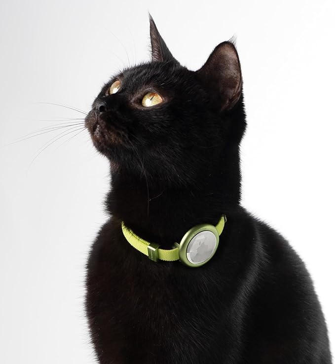 Safety Cat Collar Pro, Lightweight Elastic Release Non Breakaway Cat Collar Adjustable with Snap Fastener for Kitten All Small Large Cats, US IDA Gold Award (Olive, M 7.9-15.7")