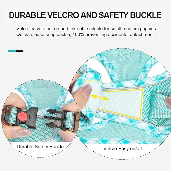 Mercano Soft Mesh Dog Harness and Leash Set, No-Chock Step-in Reflective Breathable Lightweight Easy Walk Vest Harnesses with Safety Buckle for Small Dogs, Cats (Light Blue, L)