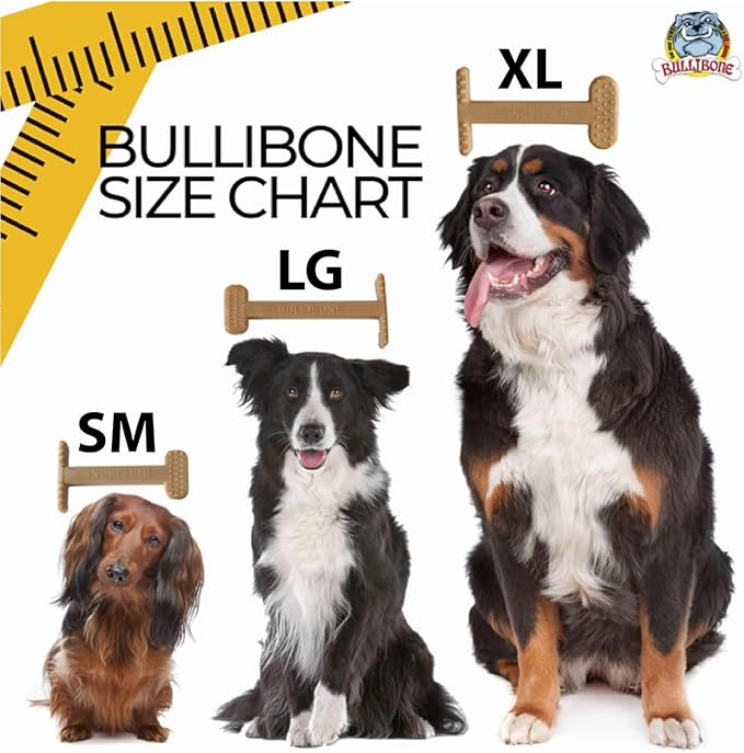 Bullibone Nylon Dog Chew Toy for Aggressive Chewers - Dental Hygiene Bone with Bacon Flavor, Durable Tough Chew Toys for Large Dogs, Indestructible Dog Bone - 2 Pack