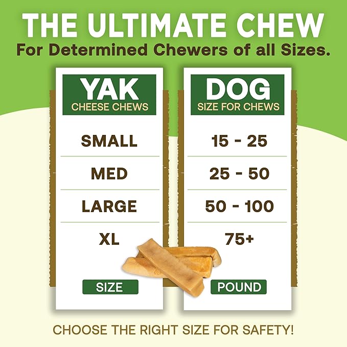 EcoKind Monster Himalayan Yak Cheese Dog Chew, XL Dogs Chews, Rawhide Free, Dog Chew Stick for Aggressive Chewers, Indoors Outdoor Use, Healthy Dogs Treats, Made in The Himalayas -XL Large (Pack of 2)