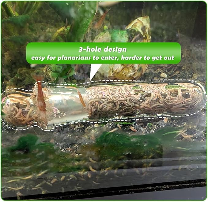 2 Pack Clear Glass Planaria Trap Catch Trap Aquarium Cleaning Supply for Dwarf Shrimp Cherry Shrimp (3 Holes)