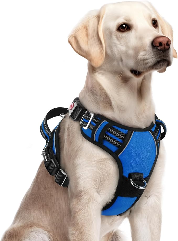 rabbitgoo Dog Harness for Large Dogs, No Pull Pet Vest with 3 Buckles, Adjustable Soft Padded Pet Harness with Easy Control Handle and Reflective Strips, Royal Blue, L