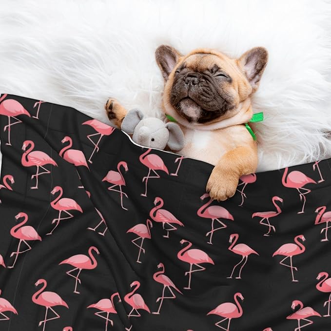 Reversible Plush Throw for Dogs and Cats, Pink Flamingo, Double Sided Blanket with Nubby Dot Side and Sleek Side Ideal for Cuddling Nesting Security