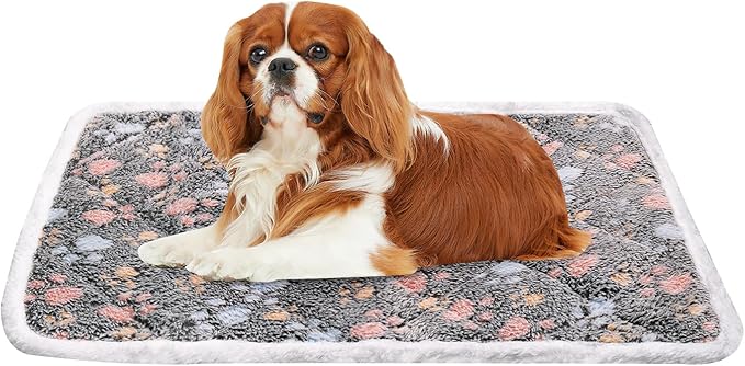 Dog Crate Mat, Soft Reversible Pet Bed Pad with Short Plush, 60x90cm, 2cm Thick, Machine Washable Mat for Small Dogs and Cats, Fits 90cm Crates