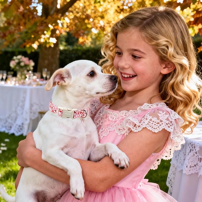 DOGWONG Cute Dog Collar, Pink Bow Pattern Dog Collar, Girl Female Dog Collars with Strong Plastic Buckle for Small Dogs,XS