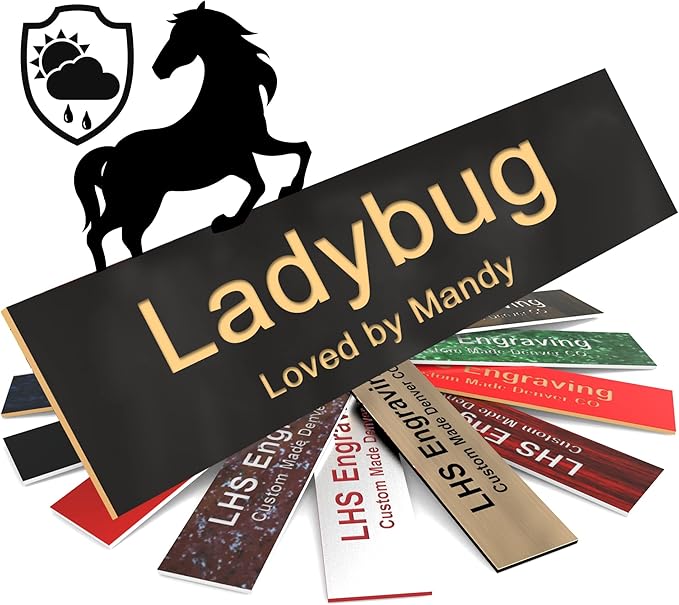 Personalized Horse Stall Name Plates, 2x10 Horse Stall Signs with Adhesive, All Weather UV Protected, Black Plastic Gold Letters - Made in USA - B3