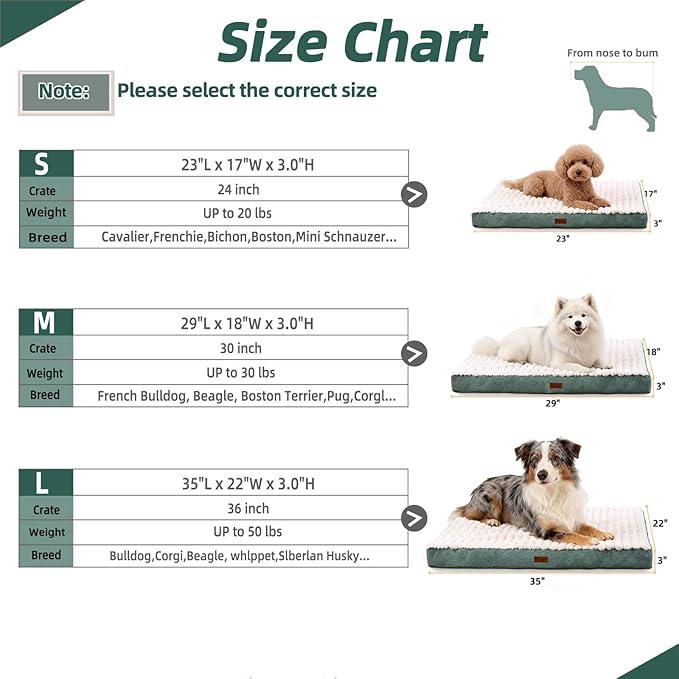 Orthopedic Dog Bed with Firm High-Density Egg Crate Foam,Soft Short Plush Surface Pet Beds,Machine Washable with Removable Cover & Non-Slip Bottom for Medium & Large Breeds (Green, 35"L x 22"W x 3"H)